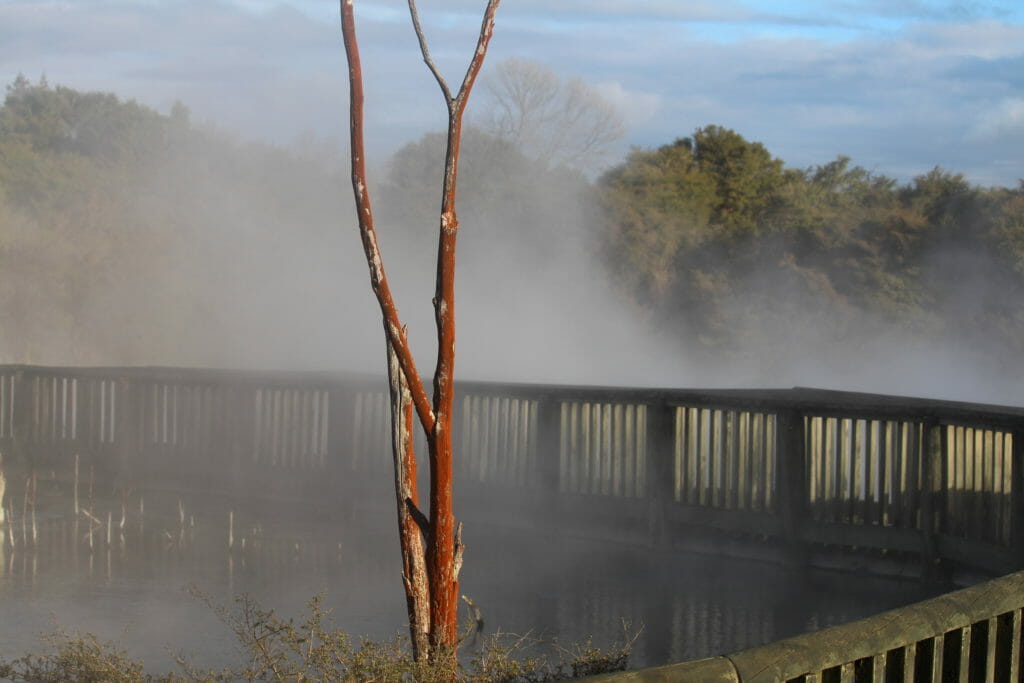 Lake Kuirau Park