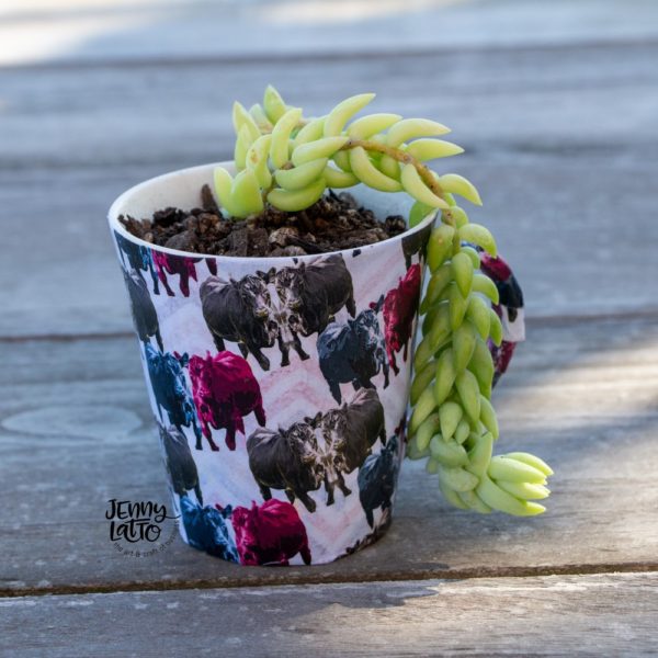 Succulent Planter From Coffee Cup