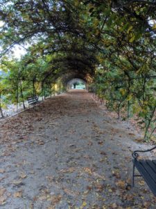 Adelaide Botanic Gardens