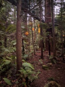 More Treewalk 2