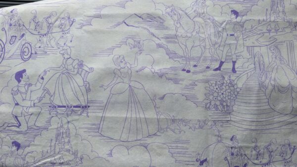 Princess Disney Fabric OOP