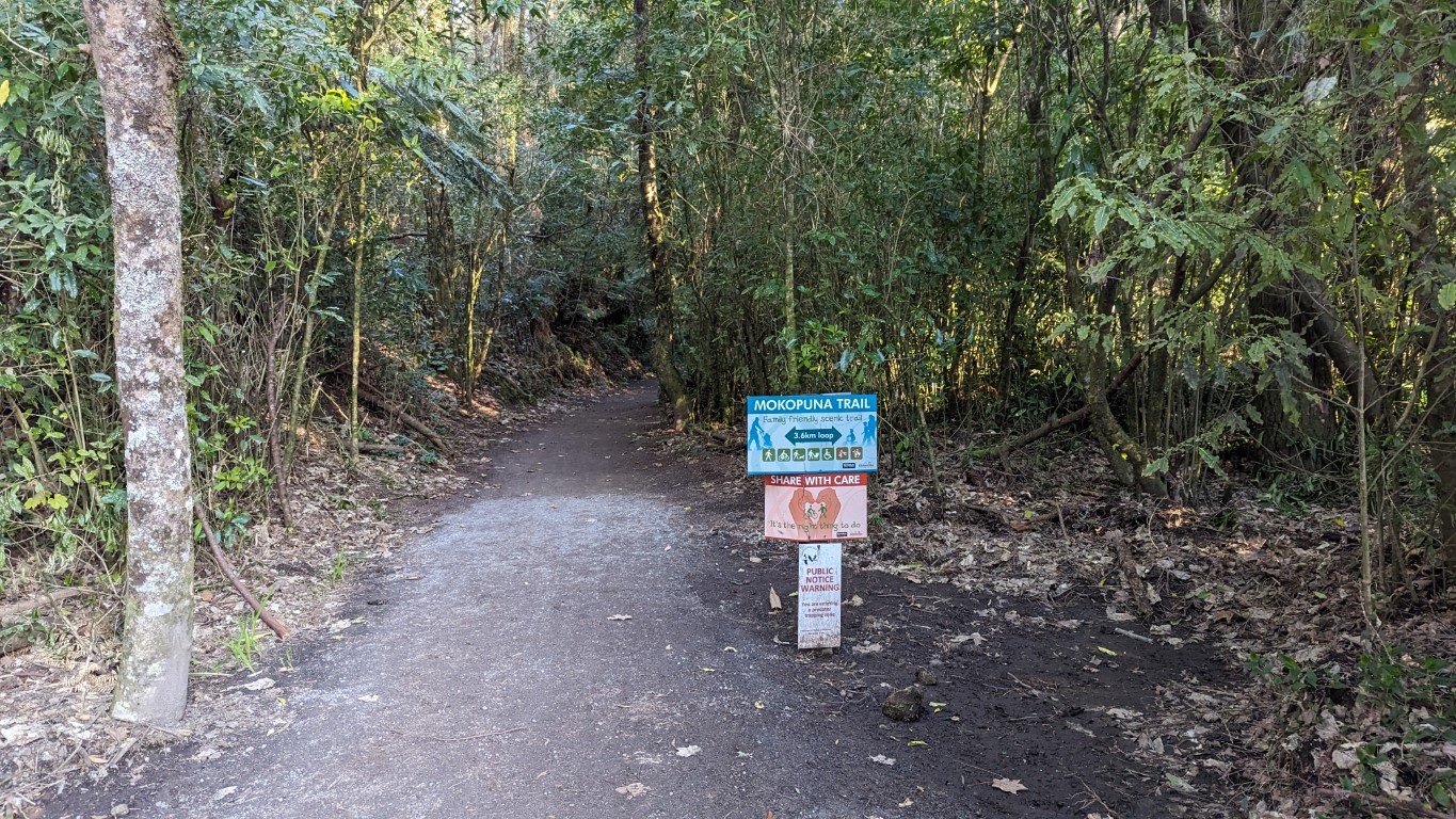 3 Walks To Explore In Rotorua