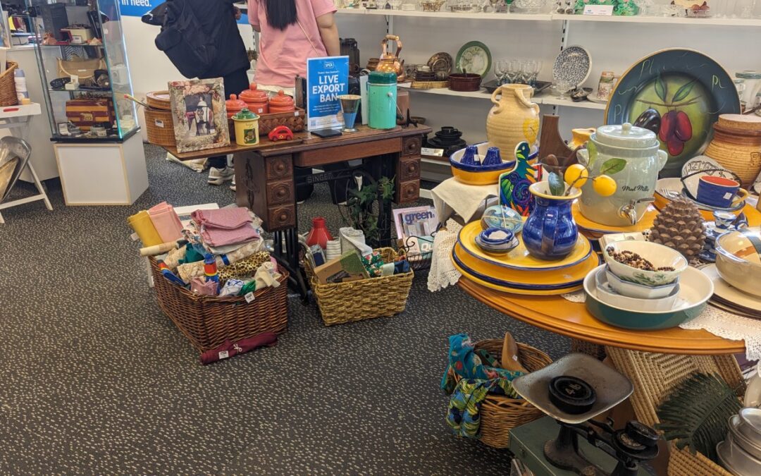 Secondhand Shopping in Devonport, 5 Shops to find a bargain