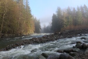 Cheakamus River