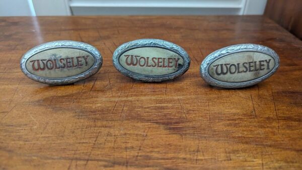 Wolseley Badges or lights