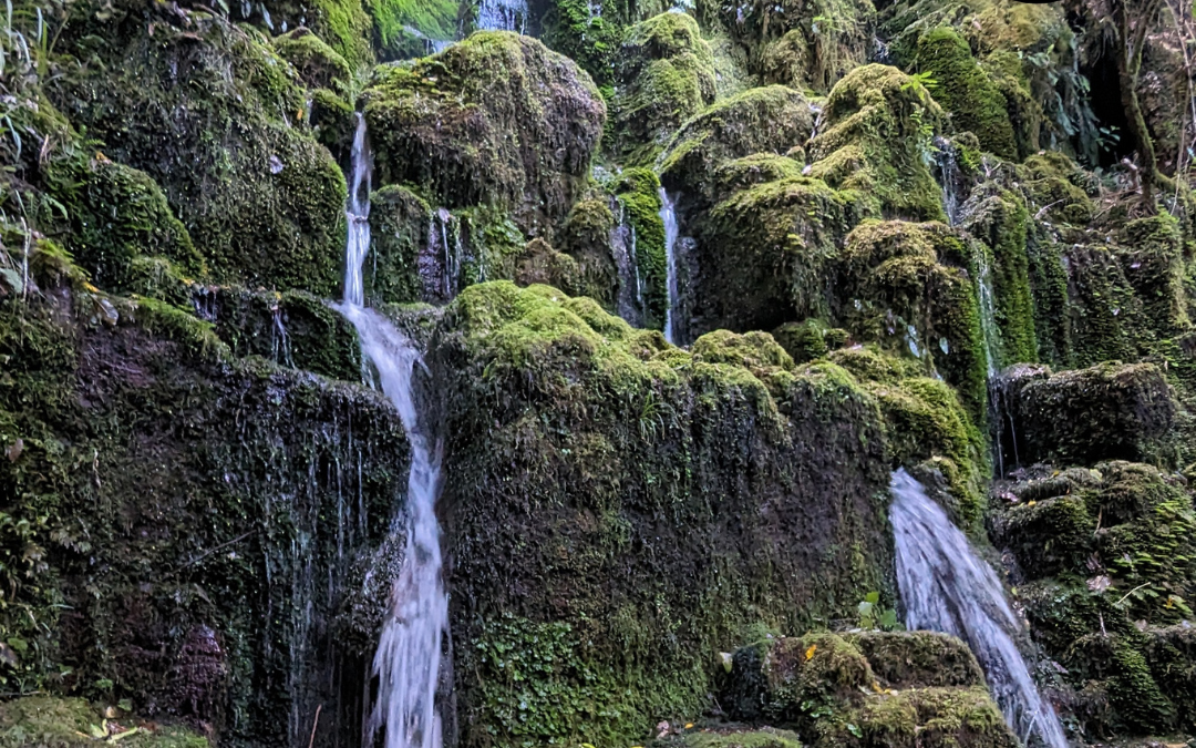 Cascade Falls Rotorua. Jenny Latto The Upcycologist.