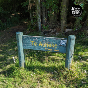 Te Auheke Track, Cascade Falls Rotorua Lake Okataina