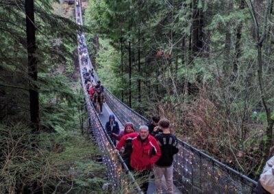 The Suspension Bridge