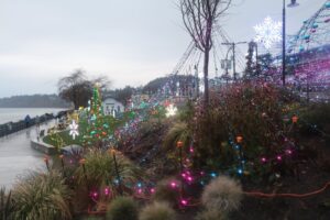 White Rock Christmas Lights